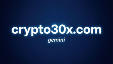 crypto30x.com gemini